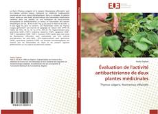 Copertina di Évaluation de l'activité antibactérienne de deux plantes médicinales