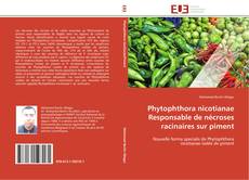 Capa do livro de Phytophthora nicotianae Responsable de nécroses racinaires sur piment 