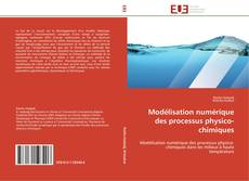 Modélisation numérique des processus physico-chimiques kitap kapağı