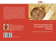 Bookcover of Calcul de précision dans les enquêtes auprès des ménages