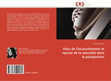 Bookcover of Vécu de l'accouchement et reprise de la sexualité dans le postpartum