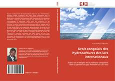 Droit congolais des hydrocarbures des lacs internationaux kitap kapağı