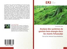 Portada del libro de Analyse des systèmes de gestion bois-énergie dans les monts Tchaoudjo