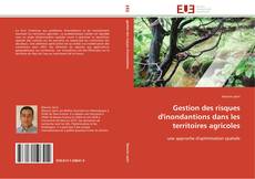 Buchcover von Gestion des risques d'inondantions dans les territoires agricoles