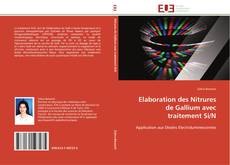 Bookcover of Elaboration des Nitrures de Gallium avec traitement Si/N