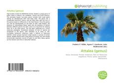 Bookcover of Attalea (genus)