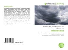 Capa do livro de Mésocyclone 