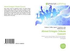 Borítókép a  Ahmet Ertegün Tribute Concert - hoz