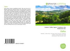 Обложка Jiahu