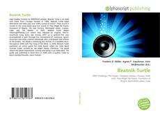 Borítókép a  Beatnik Turtle - hoz