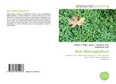 Acer Macrophyllum的封面