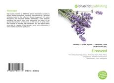 Capa do livro de Fireweed 
