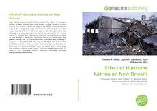 Обложка Effect of Hurricane Katrina on New Orleans
