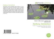 Borítókép a  Danbury, Connecticut - hoz