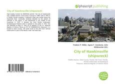 Borítókép a  City of Hawkinsville (shipwreck) - hoz