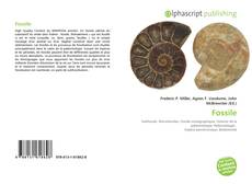 Couverture de Fossile