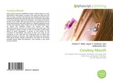 Cowboy Mouth的封面