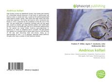 Copertina di Andricus kollari