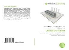 Criticality accident的封面