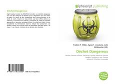 Déchet Dangereux的封面