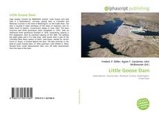 Bookcover of Little Goose Dam