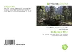 Bookcover of Lodgepole Pine