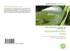 Borítókép a  Mesoamerican River Turtle - hoz