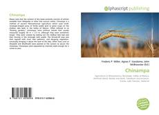 Borítókép a  Chinampa - hoz