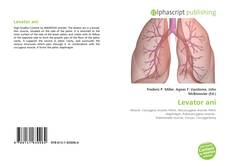 Borítókép a  Levator ani - hoz