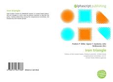 Capa do livro de Iron triangle 