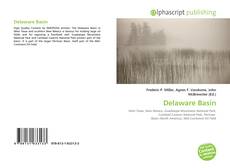 Portada del libro de Delaware Basin