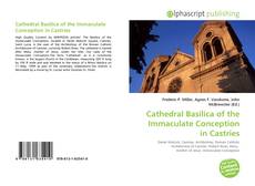 Cathedral Basilica of the Immaculate Conception in Castries的封面