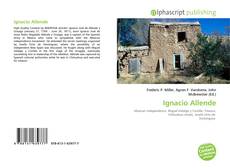 Ignacio Allende kitap kapağı