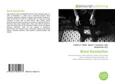 Brosl Hasslacher的封面