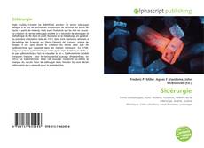Portada del libro de Sidérurgie
