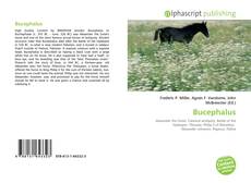 Bookcover of Bucephalus