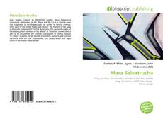 Bookcover of Mara Salvatrucha