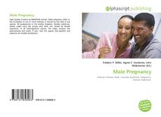 Male Pregnancy的封面