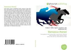 Buchcover von Damascus (horse)