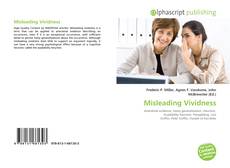 Buchcover von Misleading Vividness