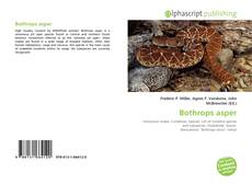 Borítókép a  Bothrops asper - hoz