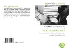 M. A. Muqtedar Khan的封面