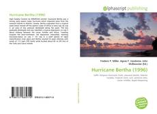 Hurricane Bertha (1996)的封面