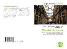 Algonquin Commons的封面