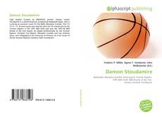 Damon Stoudamire的封面