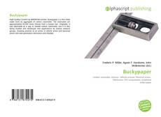 Bookcover of Buckypaper
