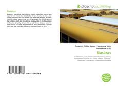 Bookcover of Busáras
