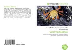 Borítókép a  Carcinus Maenas - hoz