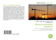 Bookcover of Normes et Standards Industriels