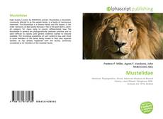 Borítókép a  Mustelidae - hoz